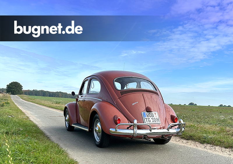 bugnet.de - Forum & Community.