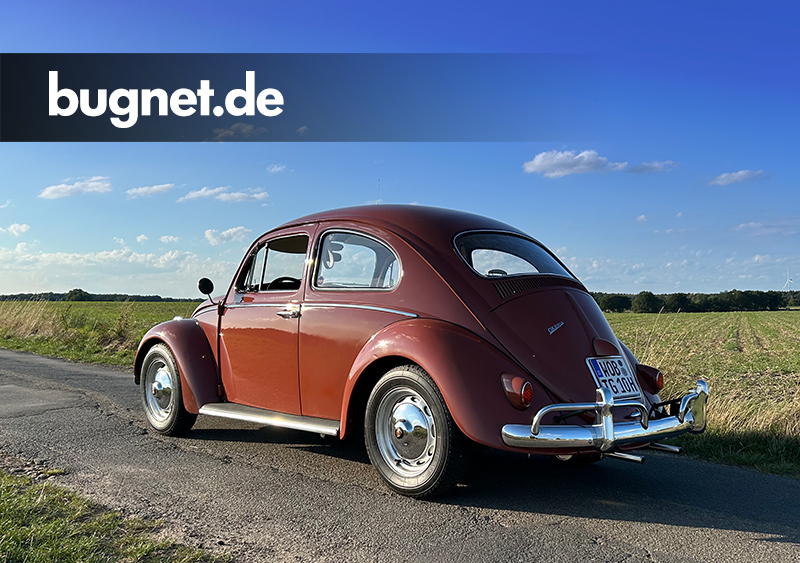 bugnet.de - Forum & Community.